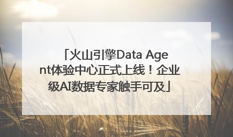 火山引擎Data Agent体验中心正式上线！企业级AI数据专家触手可及