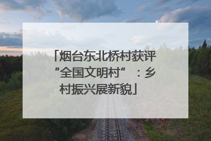 烟台东北桥村获评“全国文明村”：乡村振兴展新貌