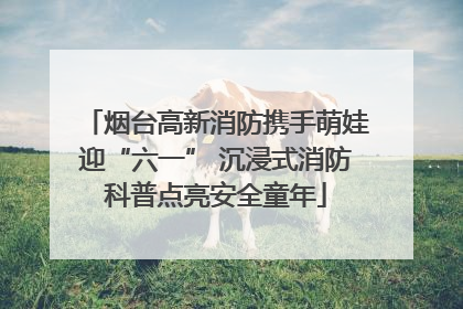 烟台高新消防携手萌娃迎“六一” 沉浸式消防科普点亮安全童年