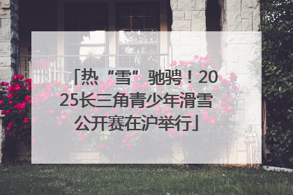 热“雪”驰骋！2025长三角青少年滑雪公开赛在沪举行