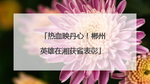 热血映丹心！郴州英雄在湘获省表彰