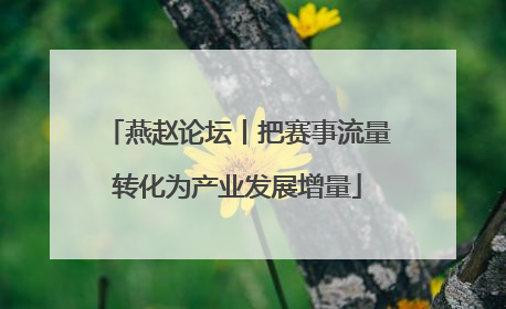 燕赵论坛丨把赛事流量转化为产业发展增量