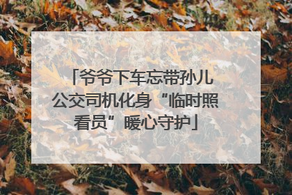 爷爷下车忘带孙儿 公交司机化身“临时照看员”暖心守护