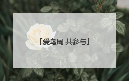 爱鸟周 共参与