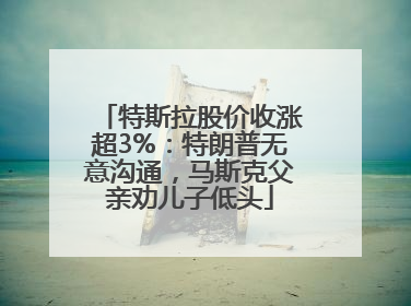 特斯拉股价收涨超3%：特朗普无意沟通，马斯克父亲劝儿子低头