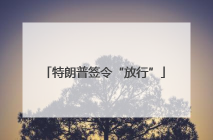 特朗普签令“放行”