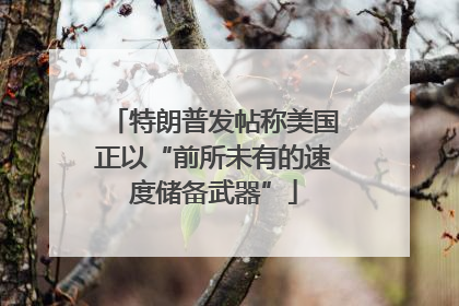 特朗普发帖称美国正以“前所未有的速度储备武器”