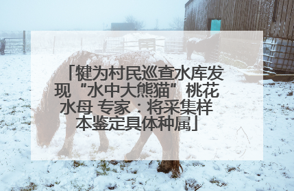 犍为村民巡查水库发现“水中大熊猫”桃花水母 专家：将采集样本鉴定具体种属