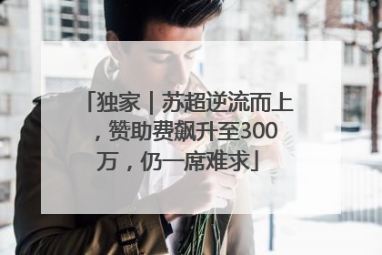 独家｜苏超逆流而上，赞助费飙升至300万，仍一席难求