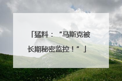 猛料：“马斯克被长期秘密监控！”