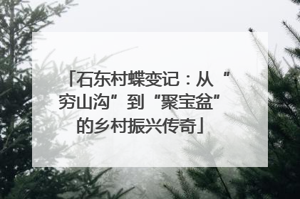 石东村蝶变记：从“穷山沟”到“聚宝盆”的乡村振兴传奇