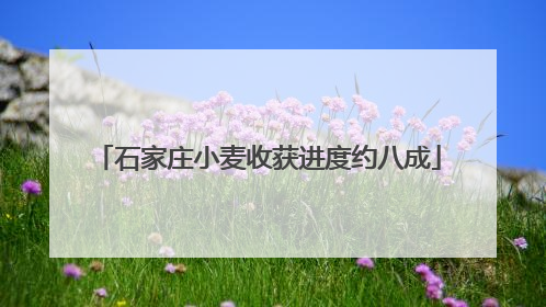 石家庄小麦收获进度约八成