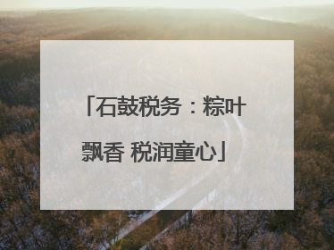 石鼓税务：粽叶飘香 税润童心
