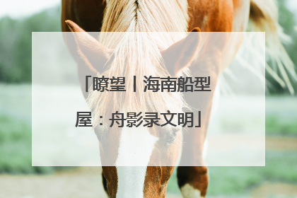 瞭望丨海南船型屋：舟影录文明