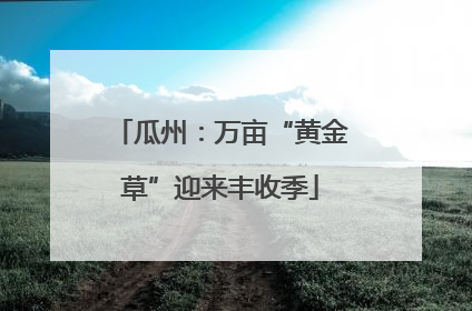 瓜州：万亩“黄金草”迎来丰收季