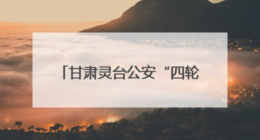 甘肃灵台公安“四轮驱动”砺精兵 战训融合筑牢平安基石