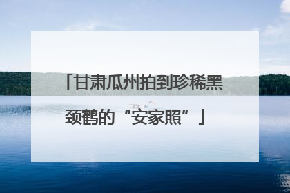甘肃瓜州拍到珍稀黑颈鹤的“安家照”
