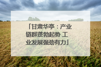 甘肃华亭：产业链群蓬勃起势 工业发展强劲有力
