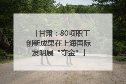 甘肃：80项职工创新成果在上海国际发明展“夺金”