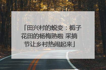 田兴村的蜕变：栀子花田的杨梅熟啦 采摘节让乡村热闹起来