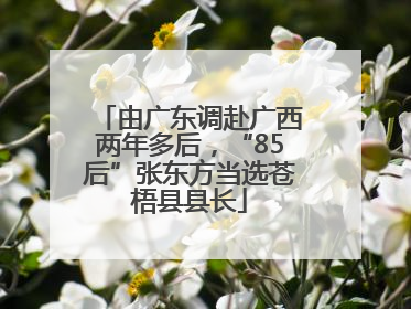 由广东调赴广西两年多后，“85后”张东方当选苍梧县县长