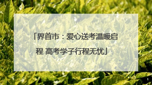 界首市：爱心送考温暖启程 高考学子行程无忧