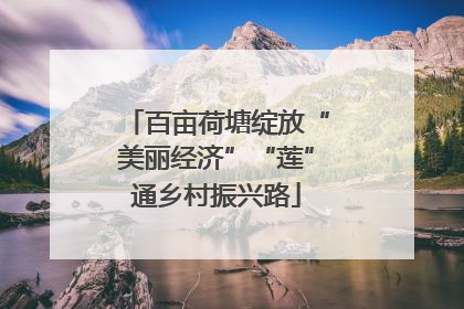 百亩荷塘绽放“美丽经济”“莲”通乡村振兴路