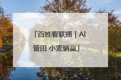 百姓看联播｜AI管田 小麦躺赢