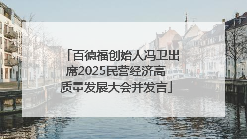 百德福创始人冯卫出席2025民营经济高质量发展大会并发言