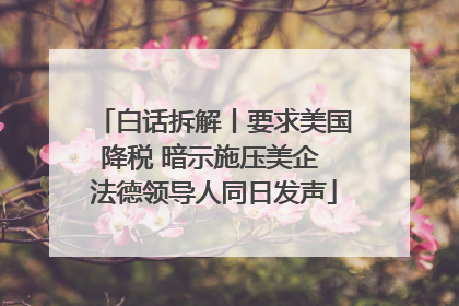 白话拆解丨要求美国降税 暗示施压美企 法德领导人同日发声