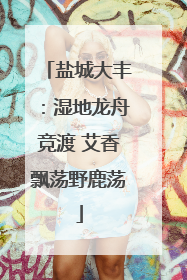 盐城大丰：湿地龙舟竞渡 艾香飘荡野鹿荡
