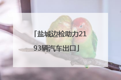 盐城边检助力2193辆汽车出口