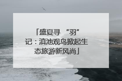 盛夏寻 “羽” 记：滇池观鸟掀起生态旅游新风尚