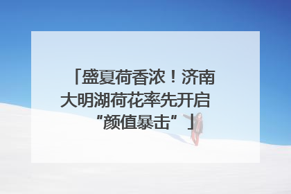 盛夏荷香浓！济南大明湖荷花率先开启“颜值暴击”