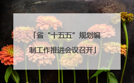 省“十五五”规划编制工作推进会议召开