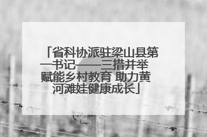 省科协派驻梁山县第一书记——三措并举 赋能乡村教育 助力黄河滩娃健康成长