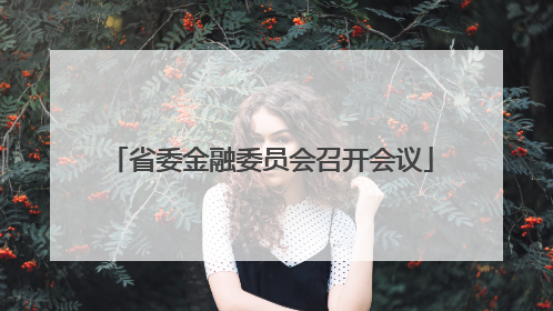 省委金融委员会召开会议