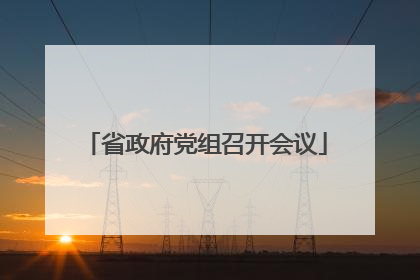 省政府党组召开会议