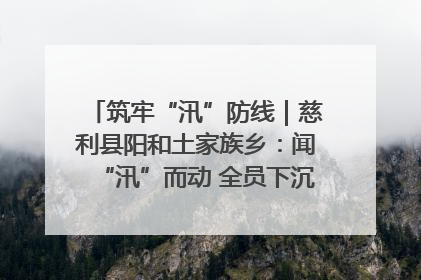筑牢“汛”防线｜慈利县阳和土家族乡：闻“汛”而动 全员下沉筑牢防汛“安全堤”