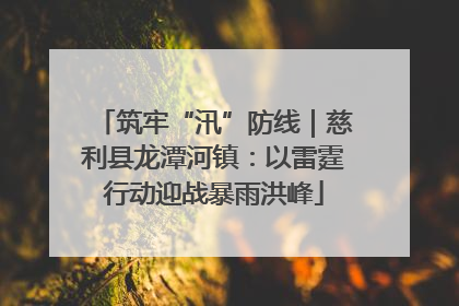 筑牢“汛”防线｜慈利县龙潭河镇：以雷霆行动迎战暴雨洪峰