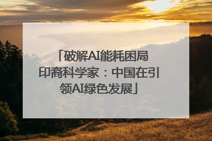破解AI能耗困局 印裔科学家：中国在引领AI绿色发展