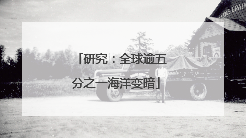 研究：全球逾五分之一海洋变暗