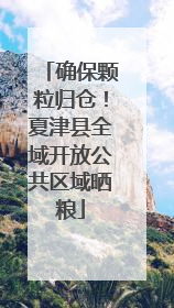 确保颗粒归仓！夏津县全域开放公共区域晒粮
