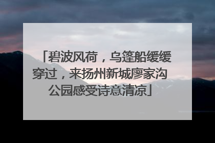 碧波风荷，乌篷船缓缓穿过，来扬州新城廖家沟公园感受诗意清凉