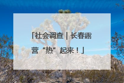 社会调查｜长春露营“热”起来！