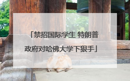 禁招国际学生 特朗普政府对哈佛大学下狠手
