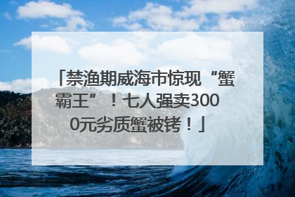 禁渔期威海市惊现“蟹霸王”！七人强卖3000元劣质蟹被铐！