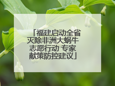 福建启动全省灭除非洲大蜗牛志愿行动 专家献策防控建议