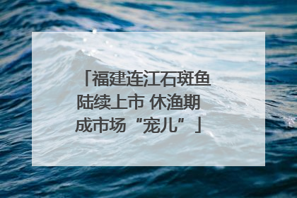 福建连江石斑鱼陆续上市 休渔期成市场“宠儿”