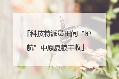 科技特派员田间“护航”中原夏粮丰收